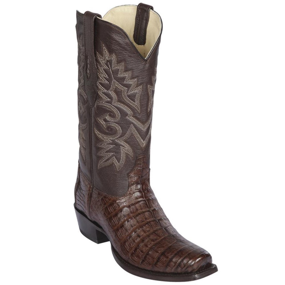 Los Altos | Caiman Belly 7x-Toe Western Boots | Brown